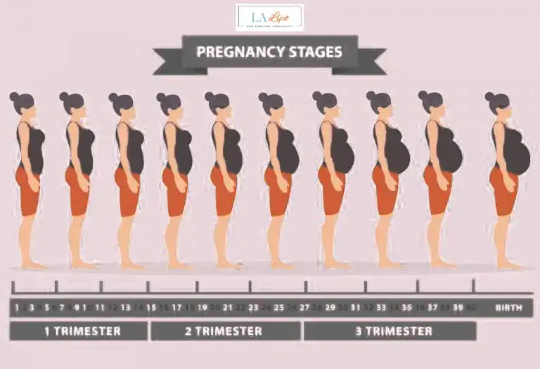 First Trimester (Weeks 1–12): Early Changes You Might Not Notice Lincolnshire